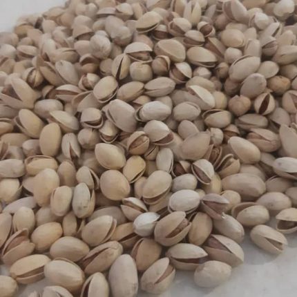 Pistachio Mechanic Khandan Ahmad Aghaei