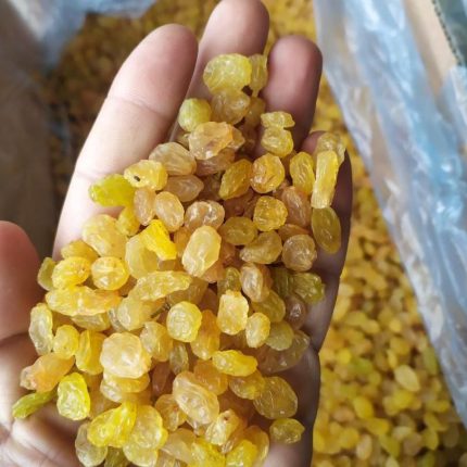 Iranian malayer raisins | first grade