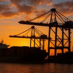 5 key WTO warning : global trade disruption and MFN principle decline