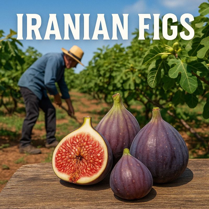 figs
