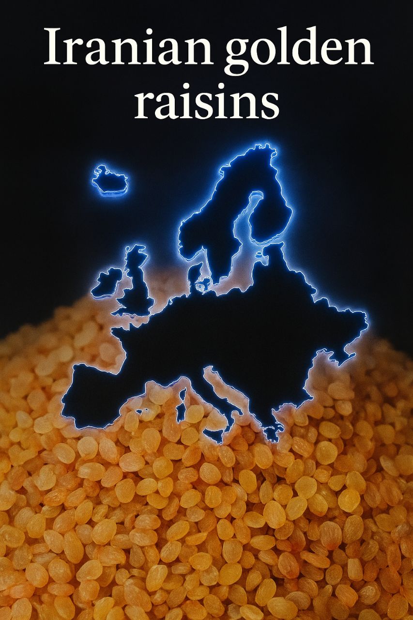 iranian raisins