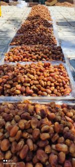 zahedi dates