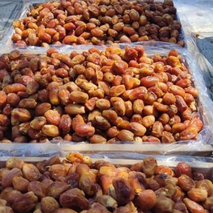 zahedi dates