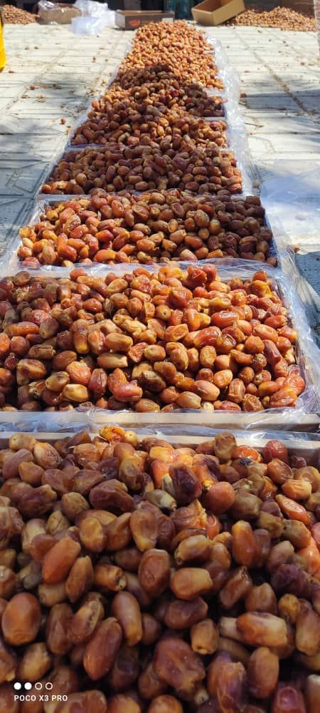 zahedi dates