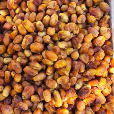 zahedi dates