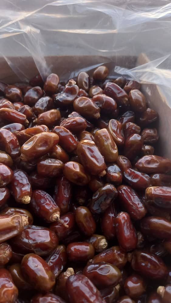 msg7252992-3274 dates