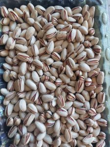 iranian pistachio