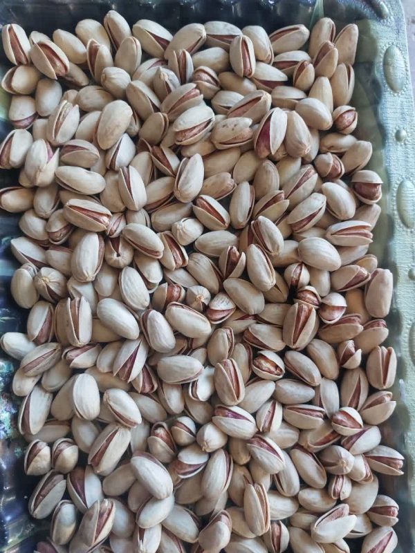 iranian pistachio